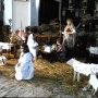 Crèche vivante